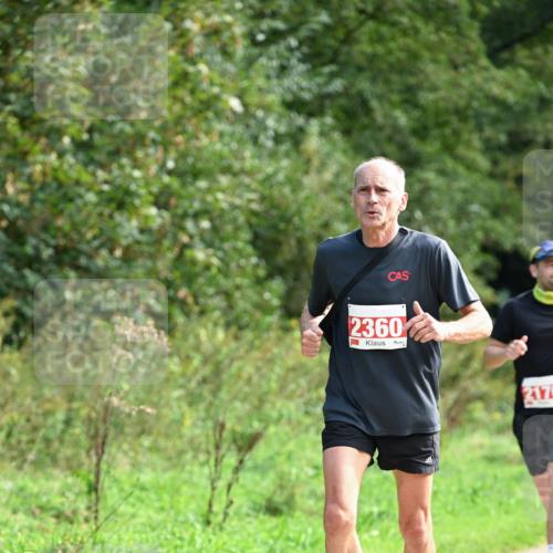 27.09.2026 - 35. Volkslauf durch das schöne Alstertal Dr. Thomas Lammeyer http://msf.ph/oto/10581147 27.09.2026 12:23:49 Laufen 2360, 217 meine-sportfotos.de