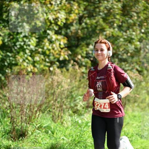 27.09.2026 - 35. Volkslauf durch das schöne Alstertal Dr. Thomas Lammeyer http://msf.ph/oto/10581175 27.09.2026 12:24:10 Laufen 2274 meine-sportfotos.de