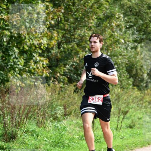27.09.2026 - 35. Volkslauf durch das schöne Alstertal Dr. Thomas Lammeyer http://msf.ph/oto/10581220 27.09.2026 12:24:34 Laufen 2362 meine-sportfotos.de