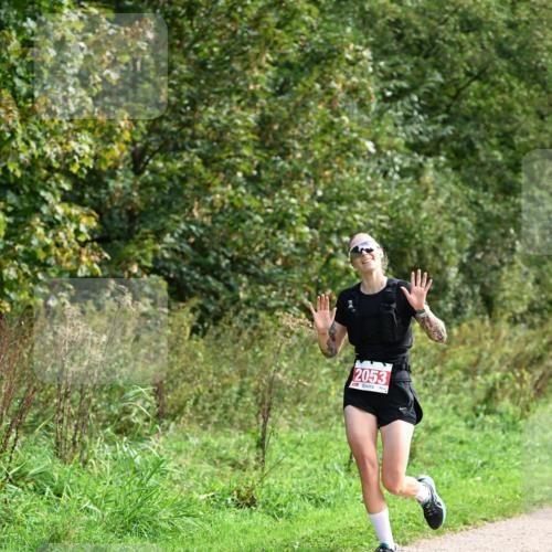 27.09.2026 - 35. Volkslauf durch das schöne Alstertal Dr. Thomas Lammeyer http://msf.ph/oto/10581257 27.09.2026 12:24:41 Laufen 2053 meine-sportfotos.de