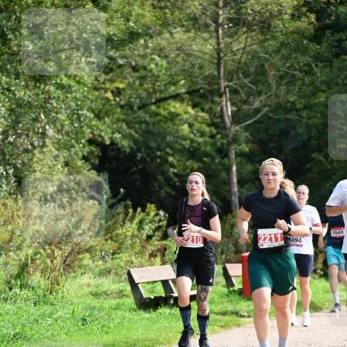 27.09.2026 - 35. Volkslauf durch das schöne Alstertal Dr. Thomas Lammeyer http://msf.ph/oto/10581330 27.09.2026 12:25:09 Laufen 2210, 2211, 094, 1649 meine-sportfotos.de