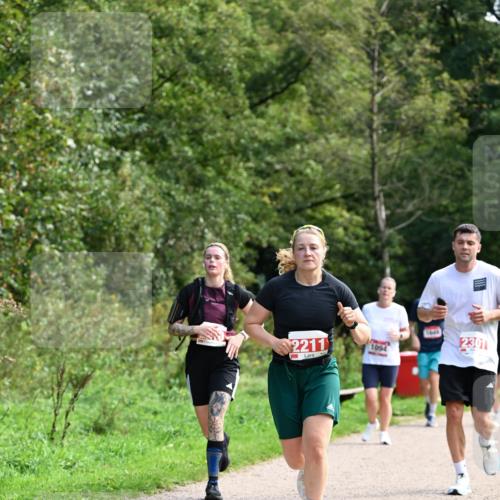 27.09.2026 - 35. Volkslauf durch das schöne Alstertal Dr. Thomas Lammeyer http://msf.ph/oto/10581345 27.09.2026 12:25:11 Laufen 2211, 2301, 1094 meine-sportfotos.de