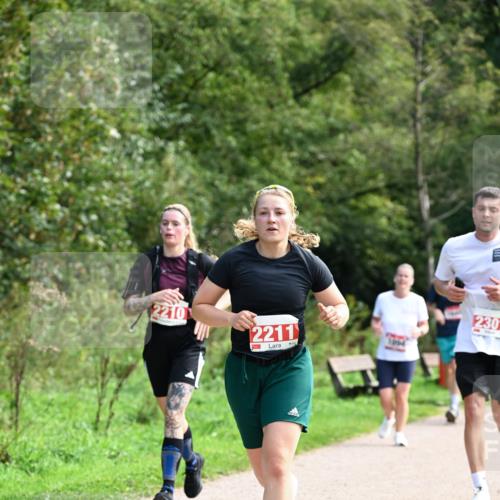 27.09.2026 - 35. Volkslauf durch das schöne Alstertal Dr. Thomas Lammeyer http://msf.ph/oto/10581352 27.09.2026 12:25:12 Laufen 2210, 2211, 2301 meine-sportfotos.de