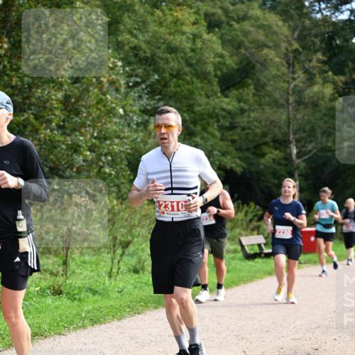 27.09.2026 - 35. Volkslauf durch das schöne Alstertal Dr. Thomas Lammeyer http://msf.ph/oto/10581387 27.09.2026 12:25:18 Laufen 2310, 2230 meine-sportfotos.de