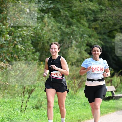 27.09.2026 - 35. Volkslauf durch das schöne Alstertal Dr. Thomas Lammeyer http://msf.ph/oto/10581524 27.09.2026 12:25:57 Laufen 2248, 2245 meine-sportfotos.de