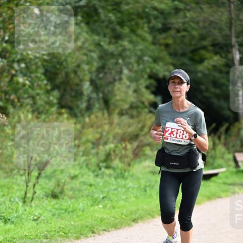 27.09.2026 - 35. Volkslauf durch das schöne Alstertal Dr. Thomas Lammeyer http://msf.ph/oto/10581594 27.09.2026 12:26:42 Laufen 2388 meine-sportfotos.de
