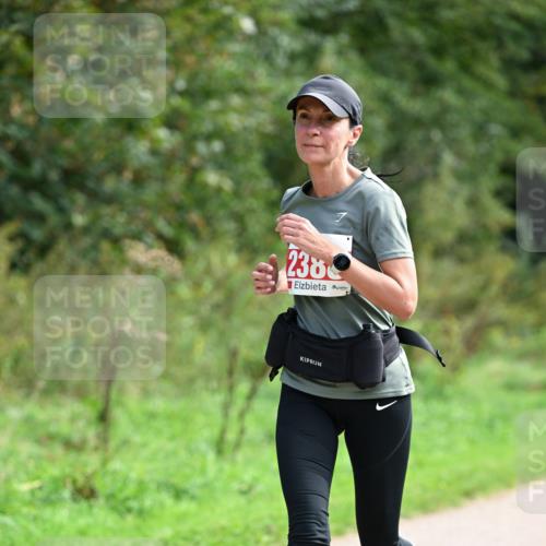27.09.2026 - 35. Volkslauf durch das schöne Alstertal Dr. Thomas Lammeyer http://msf.ph/oto/10581603 27.09.2026 12:26:42 Laufen 238 meine-sportfotos.de