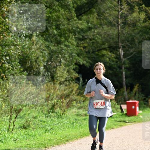 27.09.2026 - 35. Volkslauf durch das schöne Alstertal Dr. Thomas Lammeyer http://msf.ph/oto/10581607 27.09.2026 12:26:58 Laufen 2361 meine-sportfotos.de