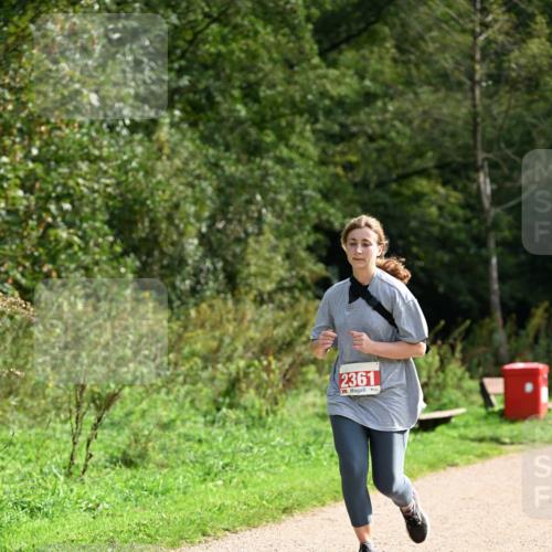 27.09.2026 - 35. Volkslauf durch das schöne Alstertal Dr. Thomas Lammeyer http://msf.ph/oto/10581609 27.09.2026 12:26:59 Laufen 2361 meine-sportfotos.de