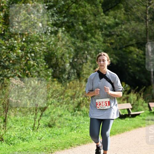 27.09.2026 - 35. Volkslauf durch das schöne Alstertal Dr. Thomas Lammeyer http://msf.ph/oto/10581615 27.09.2026 12:26:59 Laufen 2361 meine-sportfotos.de