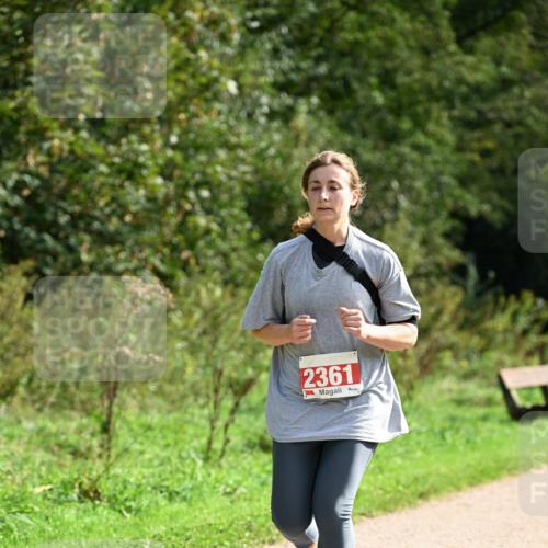 27.09.2026 - 35. Volkslauf durch das schöne Alstertal Dr. Thomas Lammeyer http://msf.ph/oto/10581621 27.09.2026 12:27:00 Laufen 2361 meine-sportfotos.de