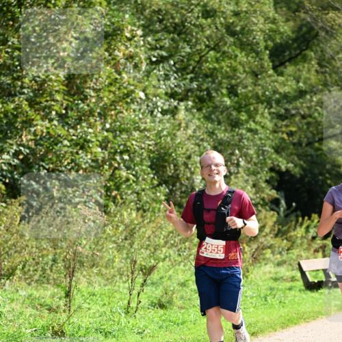 27.09.2026 - 35. Volkslauf durch das schöne Alstertal Dr. Thomas Lammeyer http://msf.ph/oto/10581651 27.09.2026 12:27:27 Laufen 2955, 202 meine-sportfotos.de