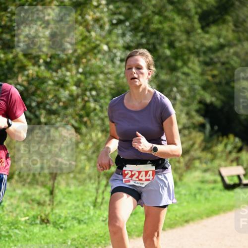 27.09.2026 - 35. Volkslauf durch das schöne Alstertal Dr. Thomas Lammeyer http://msf.ph/oto/10581661 27.09.2026 12:27:29 Laufen 2244 meine-sportfotos.de