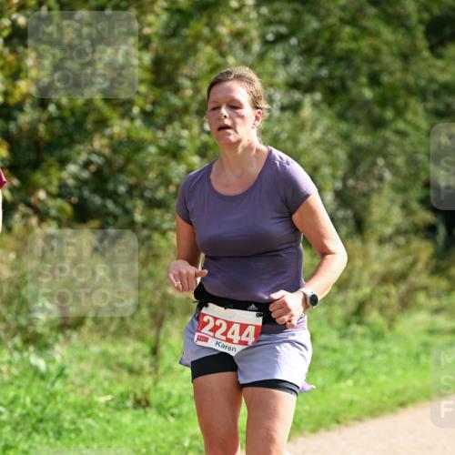 27.09.2026 - 35. Volkslauf durch das schöne Alstertal Dr. Thomas Lammeyer http://msf.ph/oto/10581664 27.09.2026 12:27:29 Laufen 2244 meine-sportfotos.de
