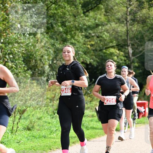 27.09.2026 - 35. Volkslauf durch das schöne Alstertal Dr. Thomas Lammeyer http://msf.ph/oto/10581679 27.09.2026 12:27:49 Laufen 2346, 2256 meine-sportfotos.de
