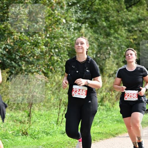 27.09.2026 - 35. Volkslauf durch das schöne Alstertal Dr. Thomas Lammeyer http://msf.ph/oto/10581684 27.09.2026 12:27:50 Laufen 2346, 2256 meine-sportfotos.de