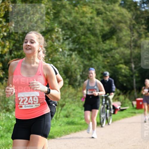 27.09.2026 - 35. Volkslauf durch das schöne Alstertal Dr. Thomas Lammeyer http://msf.ph/oto/10581693 27.09.2026 12:27:51 Laufen 2249 meine-sportfotos.de
