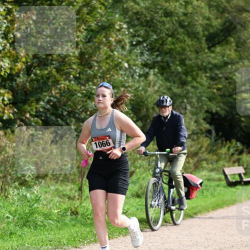 27.09.2026 - 35. Volkslauf durch das schöne Alstertal Dr. Thomas Lammeyer http://msf.ph/oto/10581698 27.09.2026 12:27:52 Laufen 1066 meine-sportfotos.de