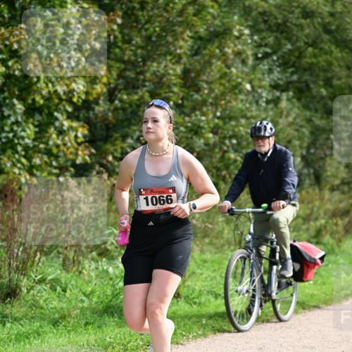 27.09.2026 - 35. Volkslauf durch das schöne Alstertal Dr. Thomas Lammeyer http://msf.ph/oto/10581702 27.09.2026 12:27:53 Laufen 1066 meine-sportfotos.de