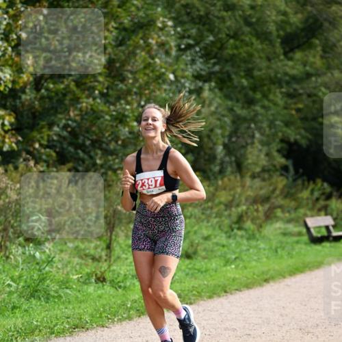 27.09.2026 - 35. Volkslauf durch das schöne Alstertal Dr. Thomas Lammeyer http://msf.ph/oto/10581709 27.09.2026 12:27:55 Laufen 2397 meine-sportfotos.de