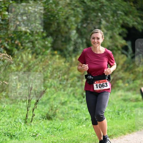 27.09.2026 - 35. Volkslauf durch das schöne Alstertal Dr. Thomas Lammeyer http://msf.ph/oto/10581727 27.09.2026 12:28:07 Laufen 1063 meine-sportfotos.de