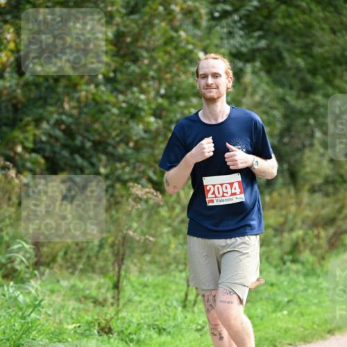 27.09.2026 - 35. Volkslauf durch das schöne Alstertal Dr. Thomas Lammeyer http://msf.ph/oto/10581761 27.09.2026 12:28:31 Laufen 2094 meine-sportfotos.de