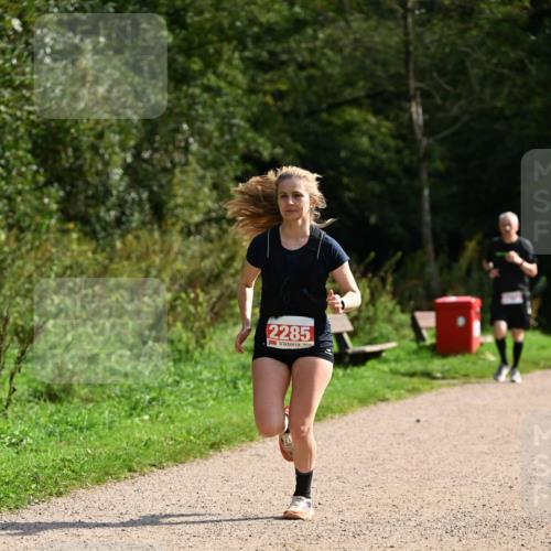 27.09.2026 - 35. Volkslauf durch das schöne Alstertal Dr. Thomas Lammeyer http://msf.ph/oto/10581809 27.09.2026 12:28:46 Laufen 2285 meine-sportfotos.de