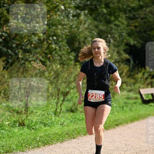 27.09.2026 - 35. Volkslauf durch das schöne Alstertal Dr. Thomas Lammeyer http://msf.ph/oto/10581815 27.09.2026 12:28:47 Laufen 2285 meine-sportfotos.de