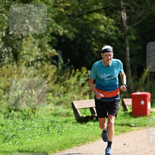27.09.2026 - 35. Volkslauf durch das schöne Alstertal Dr. Thomas Lammeyer http://msf.ph/oto/10581856 27.09.2026 12:29:02 Laufen  meine-sportfotos.de