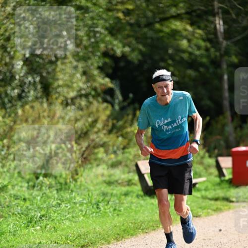 27.09.2026 - 35. Volkslauf durch das schöne Alstertal Dr. Thomas Lammeyer http://msf.ph/oto/10581860 27.09.2026 12:29:02 Laufen  meine-sportfotos.de