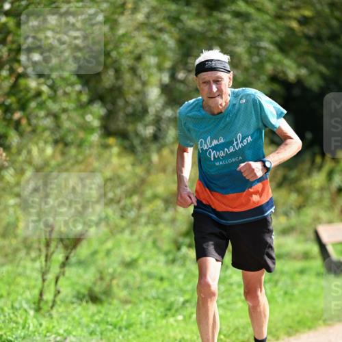 27.09.2026 - 35. Volkslauf durch das schöne Alstertal Dr. Thomas Lammeyer http://msf.ph/oto/10581871 27.09.2026 12:29:03 Laufen  meine-sportfotos.de