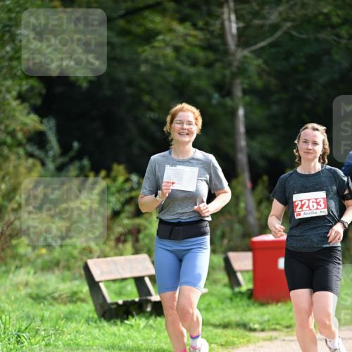 27.09.2026 - 35. Volkslauf durch das schöne Alstertal Dr. Thomas Lammeyer http://msf.ph/oto/10581896 27.09.2026 12:29:28 Laufen 2263 meine-sportfotos.de