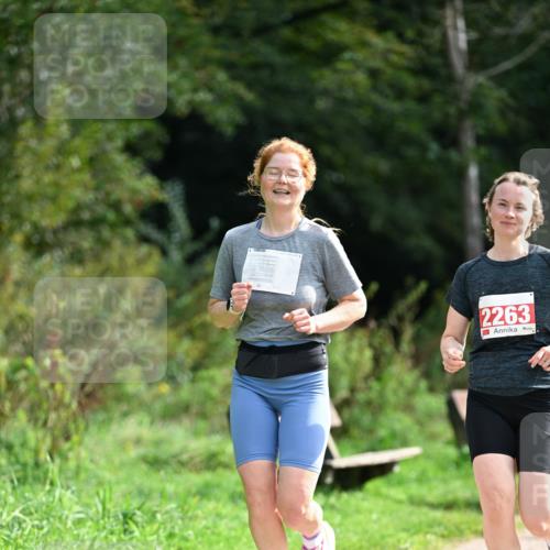 27.09.2026 - 35. Volkslauf durch das schöne Alstertal Dr. Thomas Lammeyer http://msf.ph/oto/10581903 27.09.2026 12:29:29 Laufen 2263 meine-sportfotos.de
