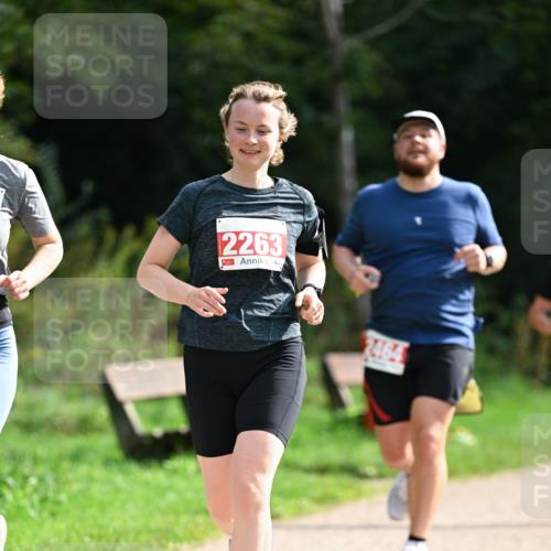 27.09.2026 - 35. Volkslauf durch das schöne Alstertal Dr. Thomas Lammeyer http://msf.ph/oto/10581908 27.09.2026 12:29:30 Laufen 2263, 2464 meine-sportfotos.de