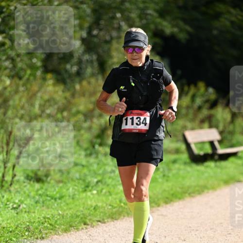 27.09.2026 - 35. Volkslauf durch das schöne Alstertal Dr. Thomas Lammeyer http://msf.ph/oto/10581917 27.09.2026 12:29:34 Laufen 1134 meine-sportfotos.de