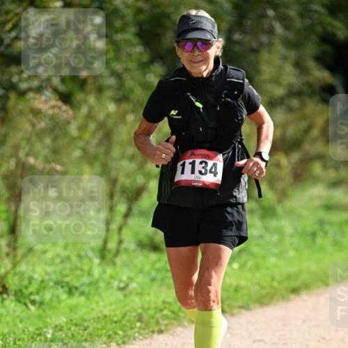 27.09.2026 - 35. Volkslauf durch das schöne Alstertal Dr. Thomas Lammeyer http://msf.ph/oto/10581924 27.09.2026 12:29:35 Laufen 1134 meine-sportfotos.de
