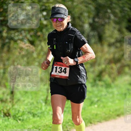 27.09.2026 - 35. Volkslauf durch das schöne Alstertal Dr. Thomas Lammeyer http://msf.ph/oto/10581926 27.09.2026 12:29:35 Laufen 134 meine-sportfotos.de