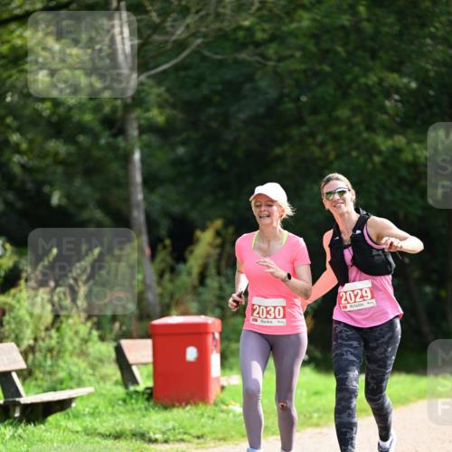 27.09.2026 - 35. Volkslauf durch das schöne Alstertal Dr. Thomas Lammeyer http://msf.ph/oto/10581935 27.09.2026 12:29:57 Laufen 2029, 2030 meine-sportfotos.de
