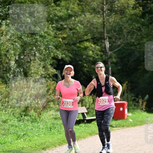 27.09.2026 - 35. Volkslauf durch das schöne Alstertal Dr. Thomas Lammeyer http://msf.ph/oto/10581951 27.09.2026 12:29:59 Laufen 2029, 2030 meine-sportfotos.de