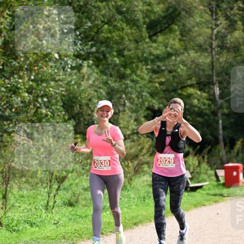 27.09.2026 - 35. Volkslauf durch das schöne Alstertal Dr. Thomas Lammeyer http://msf.ph/oto/10581964 27.09.2026 12:30:00 Laufen 2030, 2029 meine-sportfotos.de