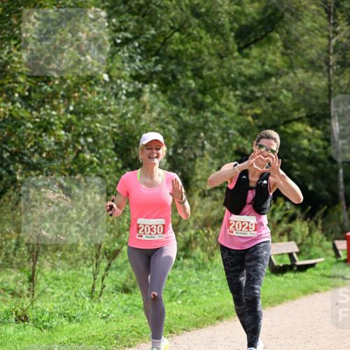 27.09.2026 - 35. Volkslauf durch das schöne Alstertal Dr. Thomas Lammeyer http://msf.ph/oto/10581966 27.09.2026 12:30:01 Laufen 2030, 2029 meine-sportfotos.de