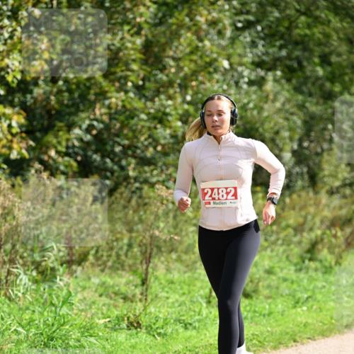 27.09.2026 - 35. Volkslauf durch das schöne Alstertal Dr. Thomas Lammeyer http://msf.ph/oto/10581996 27.09.2026 12:30:21 Laufen 2482 meine-sportfotos.de