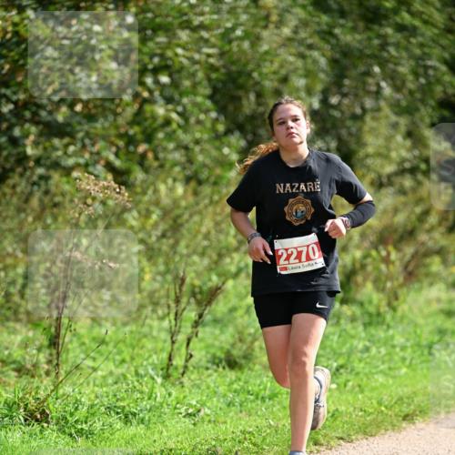 27.09.2026 - 35. Volkslauf durch das schöne Alstertal Dr. Thomas Lammeyer http://msf.ph/oto/10582019 27.09.2026 12:30:41 Laufen 2270 meine-sportfotos.de