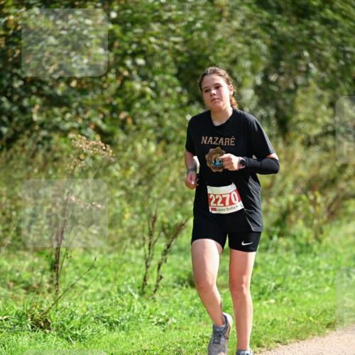 27.09.2026 - 35. Volkslauf durch das schöne Alstertal Dr. Thomas Lammeyer http://msf.ph/oto/10582020 27.09.2026 12:30:41 Laufen 2270 meine-sportfotos.de