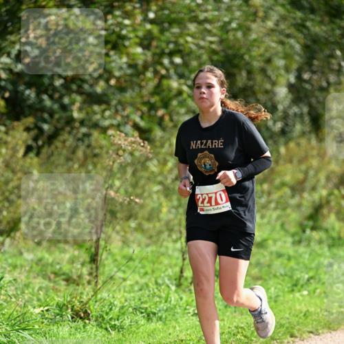 27.09.2026 - 35. Volkslauf durch das schöne Alstertal Dr. Thomas Lammeyer http://msf.ph/oto/10582023 27.09.2026 12:30:42 Laufen 2270 meine-sportfotos.de