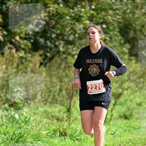 27.09.2026 - 35. Volkslauf durch das schöne Alstertal Dr. Thomas Lammeyer http://msf.ph/oto/10582026 27.09.2026 12:30:42 Laufen 2270 meine-sportfotos.de