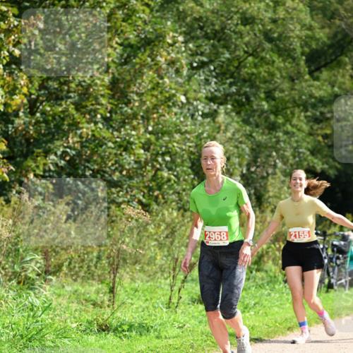 27.09.2026 - 35. Volkslauf durch das schöne Alstertal Dr. Thomas Lammeyer http://msf.ph/oto/10582030 27.09.2026 12:31:30 Laufen 2968, 2155 meine-sportfotos.de