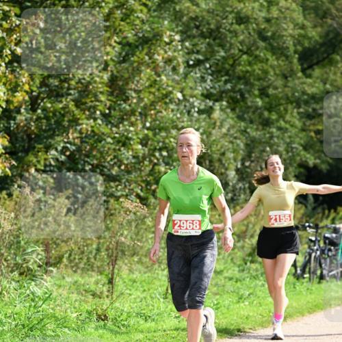 27.09.2026 - 35. Volkslauf durch das schöne Alstertal Dr. Thomas Lammeyer http://msf.ph/oto/10582033 27.09.2026 12:31:30 Laufen 2968, 2155 meine-sportfotos.de