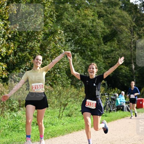 27.09.2026 - 35. Volkslauf durch das schöne Alstertal Dr. Thomas Lammeyer http://msf.ph/oto/10582046 27.09.2026 12:31:32 Laufen 2155, 2158 meine-sportfotos.de