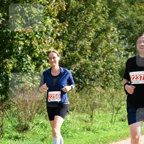 27.09.2026 - 35. Volkslauf durch das schöne Alstertal Dr. Thomas Lammeyer http://msf.ph/oto/10582073 27.09.2026 12:31:37 Laufen 2250, 2237 meine-sportfotos.de
